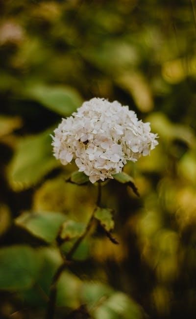 pexels-photo-5503637