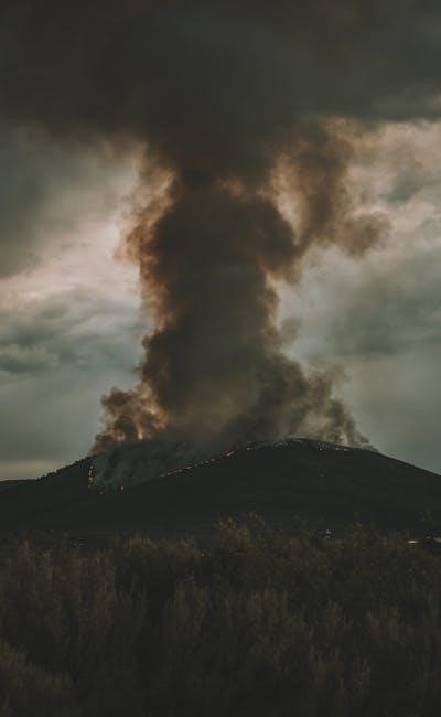 pexels-photo-9398262